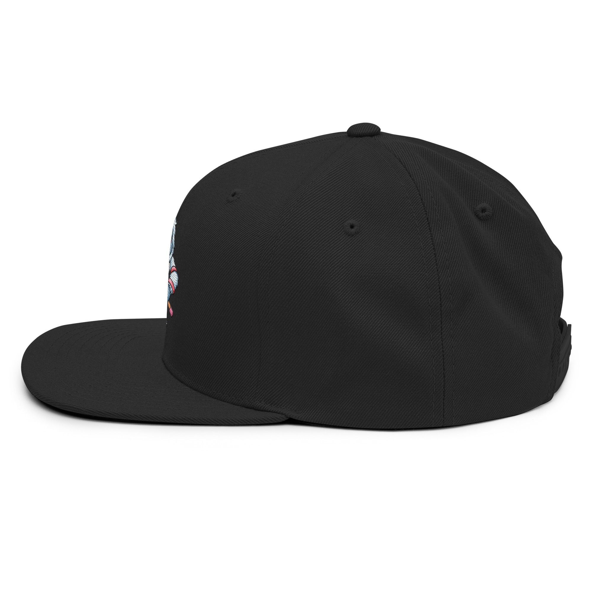 classic-snapback-black-left-side-6a026e04a54df.jpg
